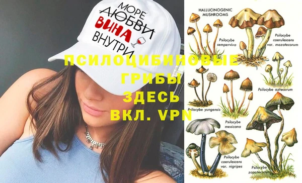 ешки Алексеевка
