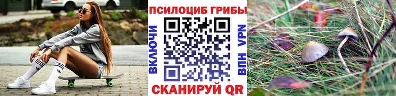 Галлюциногенные грибы мухоморы  продажа наркотиков  Гаджиево 