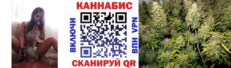 кракен tor  Гаджиево  Канабис тримм  где продают наркотики 